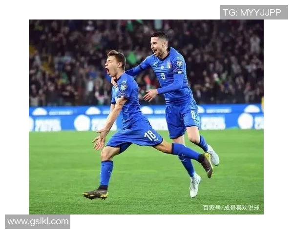 2016年欧洲杯冠军之路：传奇球队的荣耀与奋斗历程纪录片